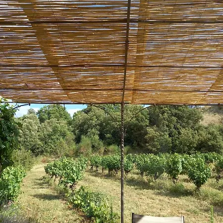 Vigneron Du Domaine D'alon Semesterbostad *