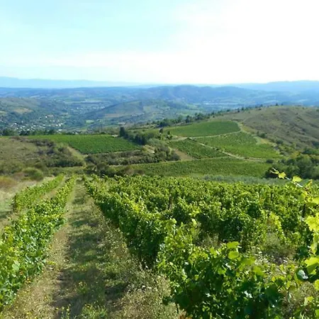 Vigneron Du Domaine D'alon
