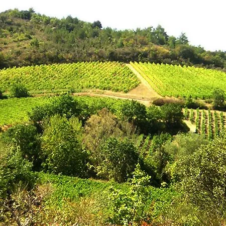 Semesterbostad Vigneron Du Domaine D'alon *