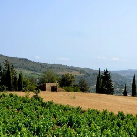 Vigneron Du Domaine D'alon