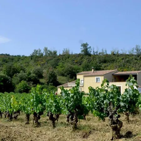 Vigneron Du Domaine D'alon