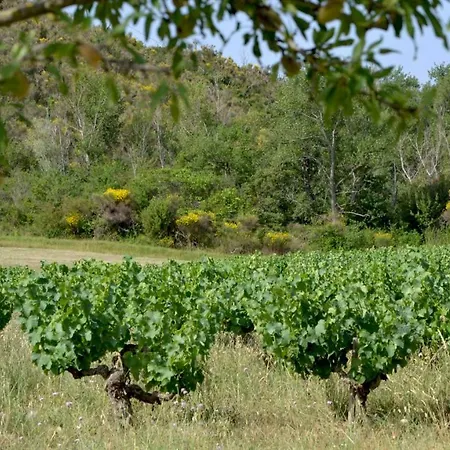 Vigneron Du Domaine D'alon Semesterbostad