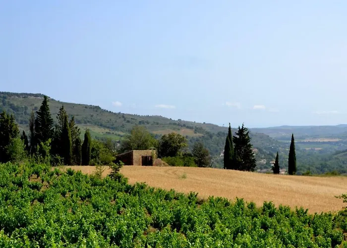 Vigneron Du Domaine D'alon