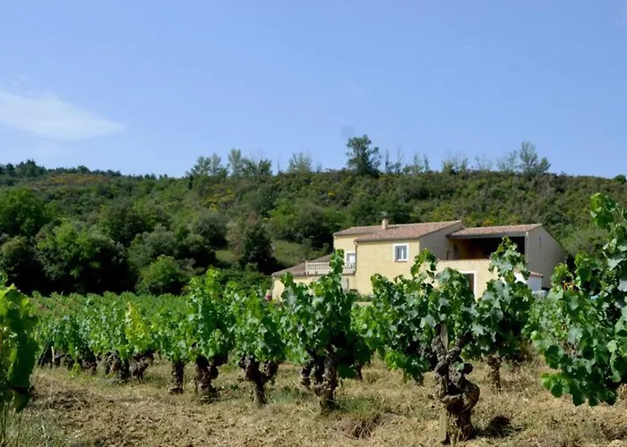 Vigneron Du Domaine D'alon